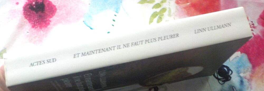 ET MAINTENANT IL NE FAUT PLUS PLEURER de Linn ULLMANN Livres et BD