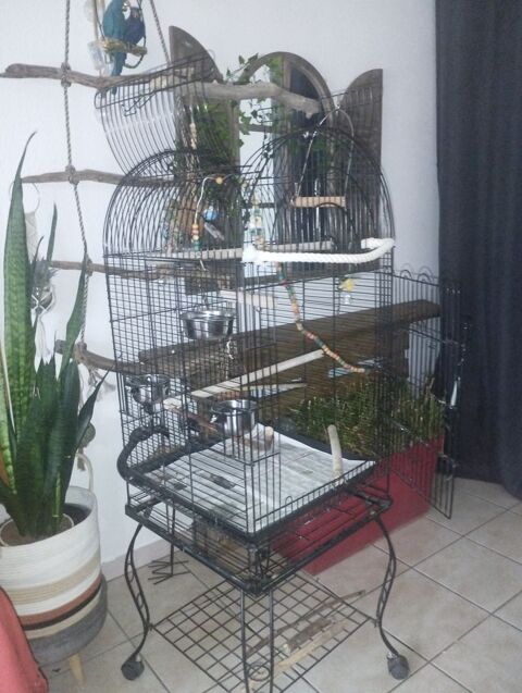 Cage grande perruche,petit perroquet,oiseaux 80 34310 Montady
