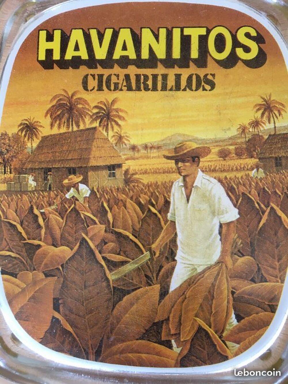 Ramasse monnaies en verre Havanitos
