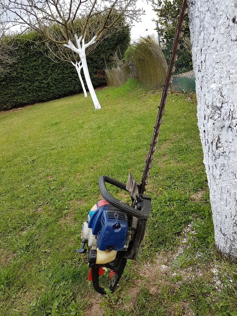 Taille haie Shindawa C4 DH2510T coupe 75cm Jardin