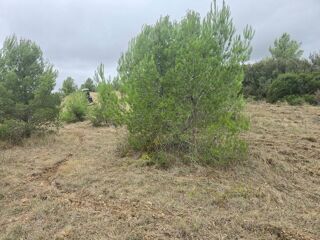  Terrain � vendre 8500 m� Gabian