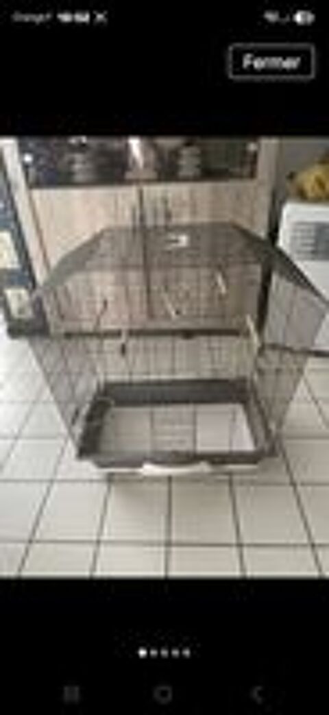   COUPLE INSEPARABLES ET CAGE 