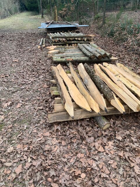 Piquet 2 Saint-Martin-d'Arc (49)