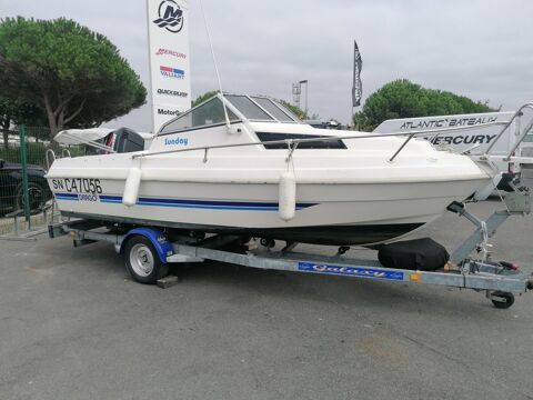 Bateaux &agrave; moteur P&ecirc;che-promenade 2005 occasion Laval 53000