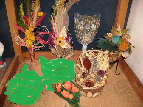 Fleurs S�ch�es- Neuves 1 Bouxwiller (67)
