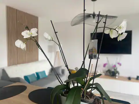  Maison  louer 2 pices 42 m