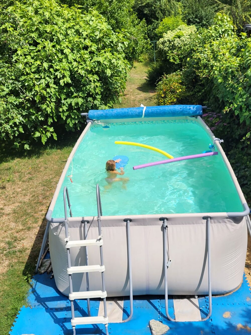 Piscine Jardin