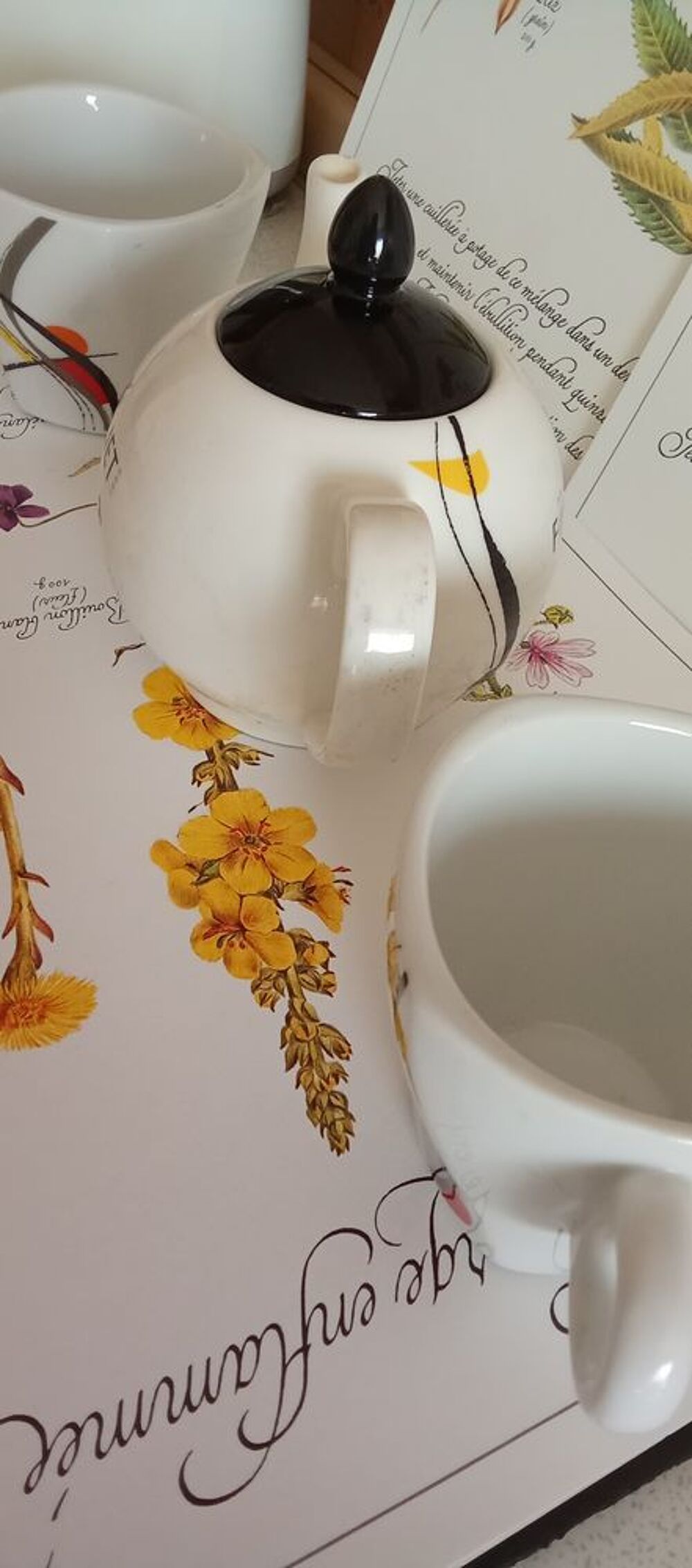 Th&eacute;i&egrave;re+deux tasses Cuisine