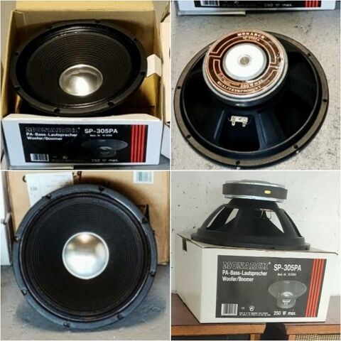 Woofer / Boomer SP-305PA Monarch 55 Arnage (72)