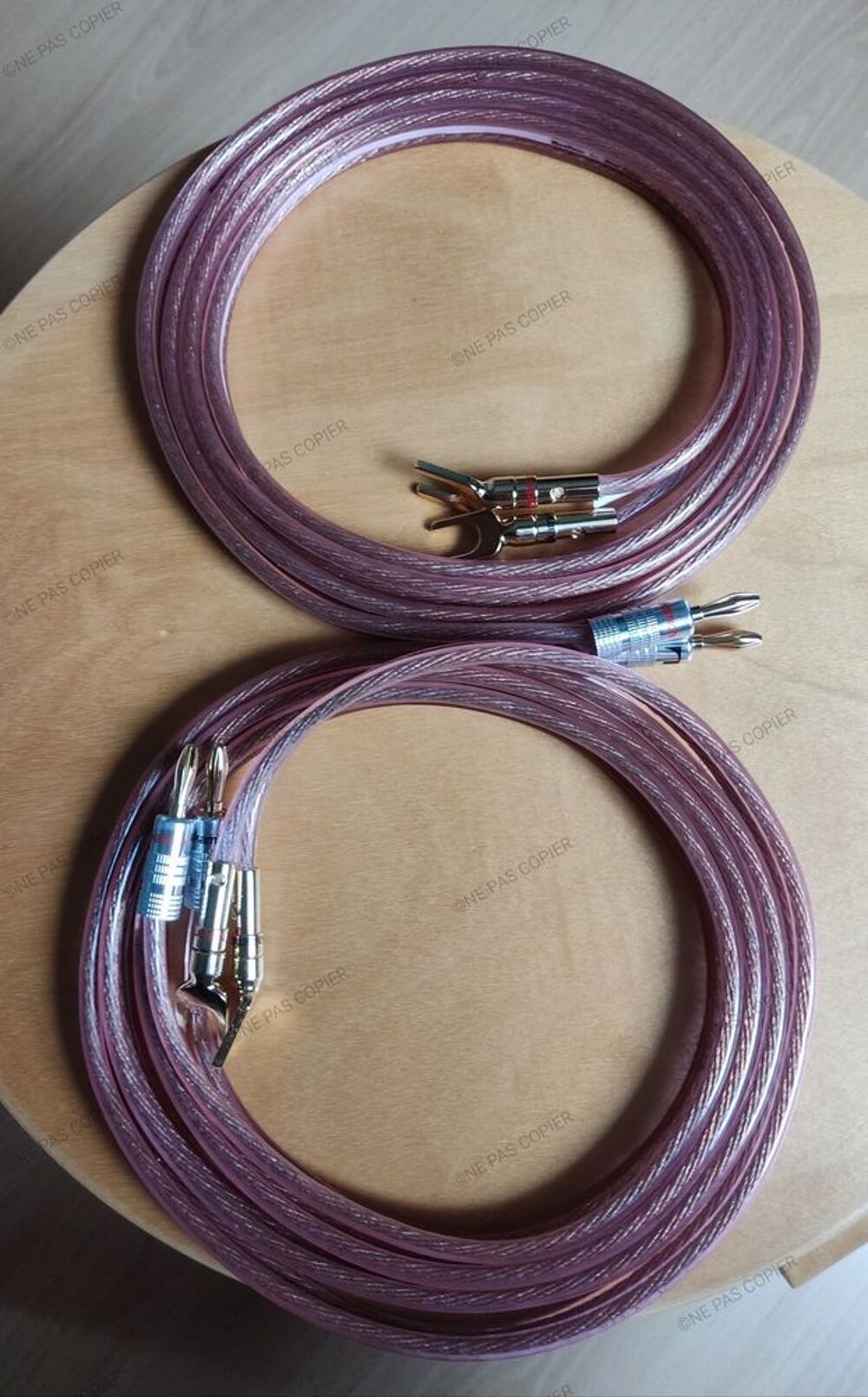 C&acirc;bles d'enceintes audiophiles REAL CABLES Moniteur Mont&eacute;s Audio et hifi