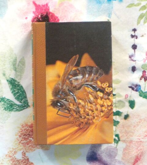 LA VIE DES ABEILLES par Maurice MAETERLINCK Ed Famot 5 Bubry (56)