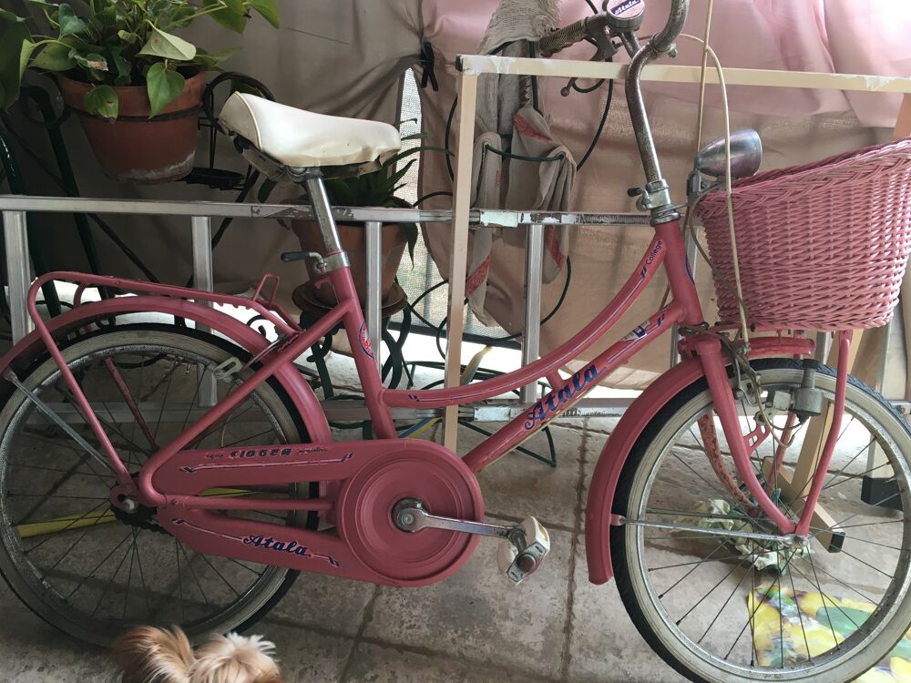 Tr&egrave;s joli mini v&eacute;lo avec panier style vintage tr&egrave;s bon &eacute;tat Vélos