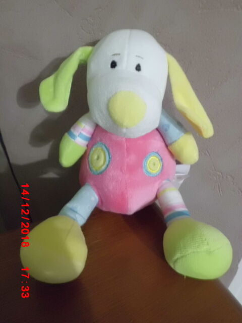 CHIEN MULTICOLORE MAXITA 15 Oignies (62)