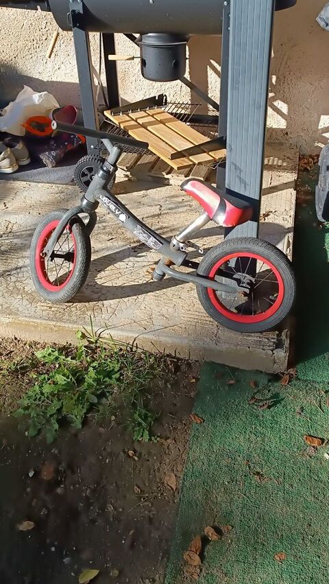 Draisienne 5 Chanay (01)