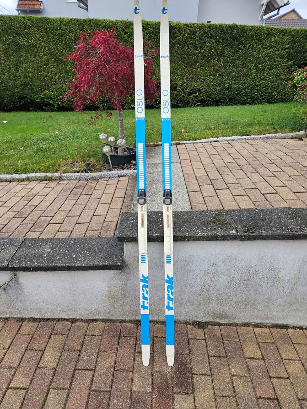 ski de fond Sports
