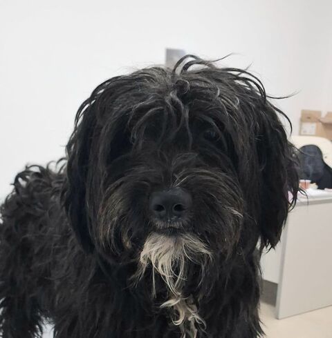 KATE 320 27620 Gasny