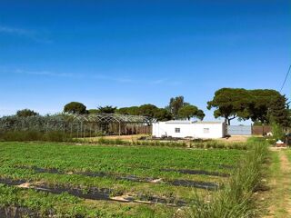  Ferme � vendre 3/4 pi�ces 100 m� Chipiona