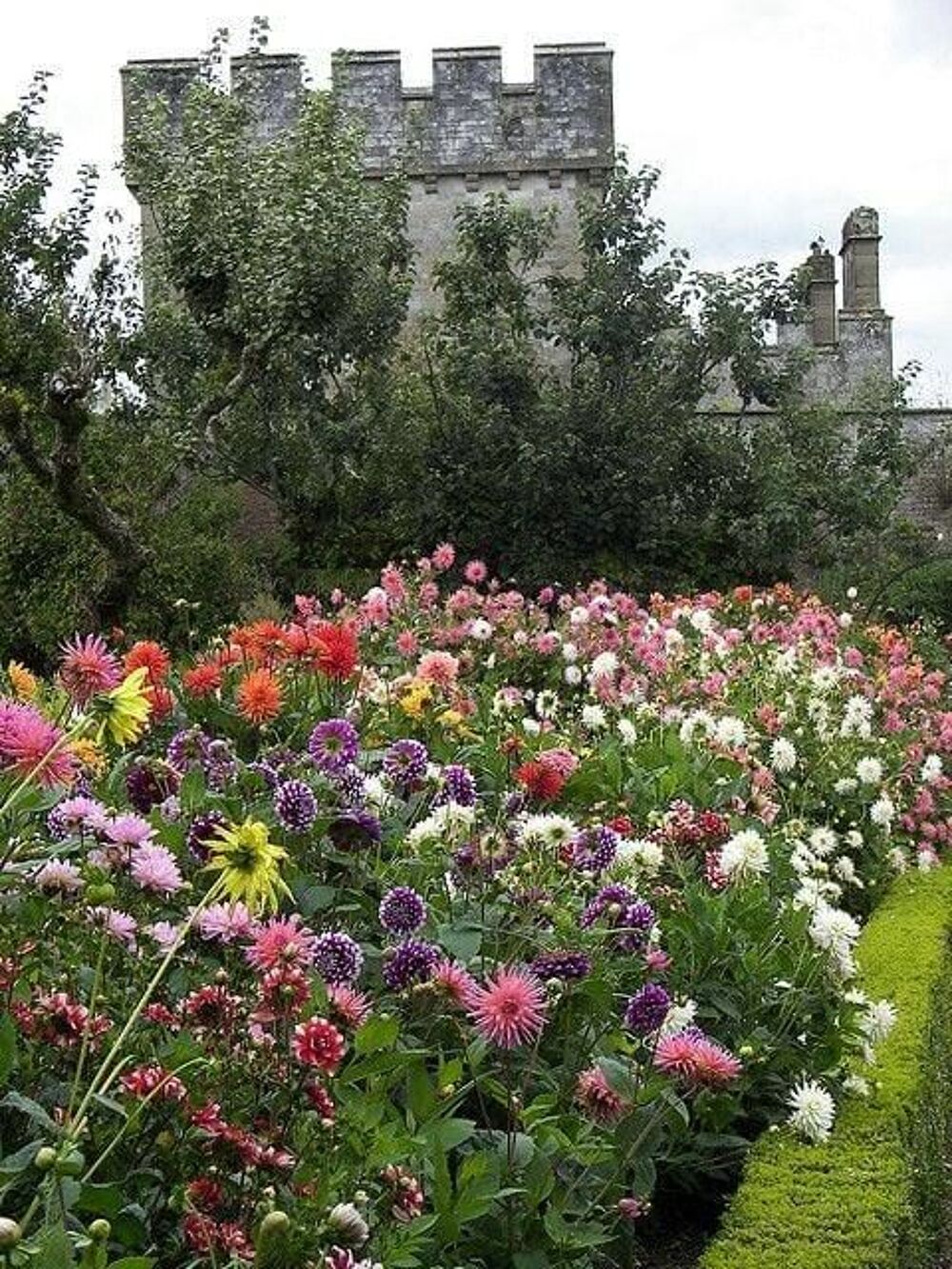   jardinier 