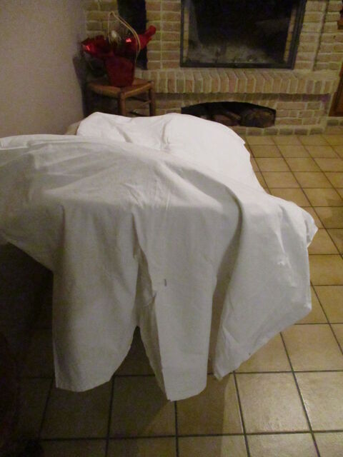 drap blanc coton fin 2 m 50 x 1 m 70 - pour tout 10 Mérignies (59)