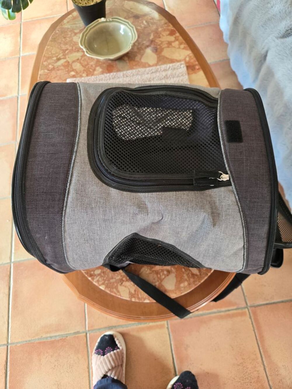 Cage de Transport pour Animaux Pliable Grise Sports