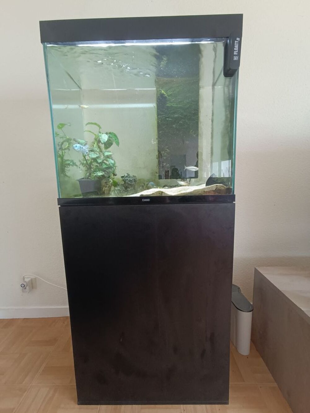   Aquarium avec son meuble 