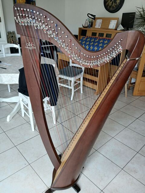 Harpe celtique Camac Carvin (62)
