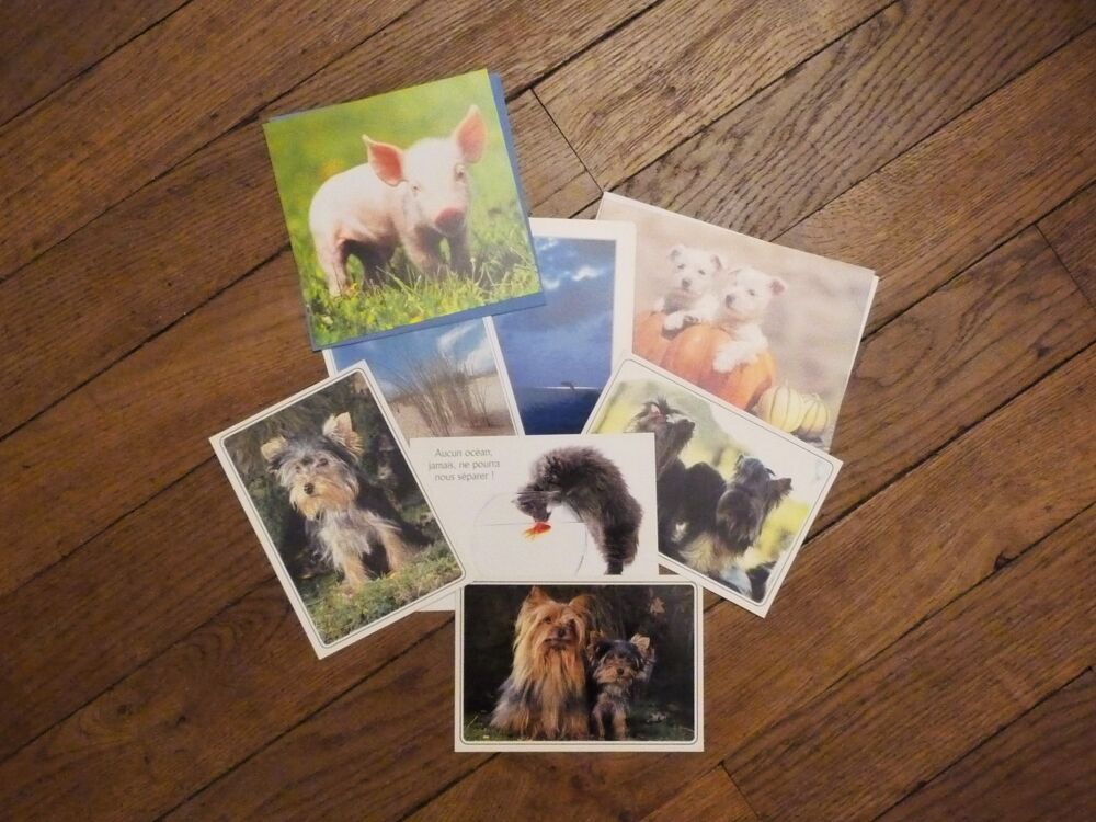 8 Cartes Postales Animaux et Paysages Mer- Neuf 