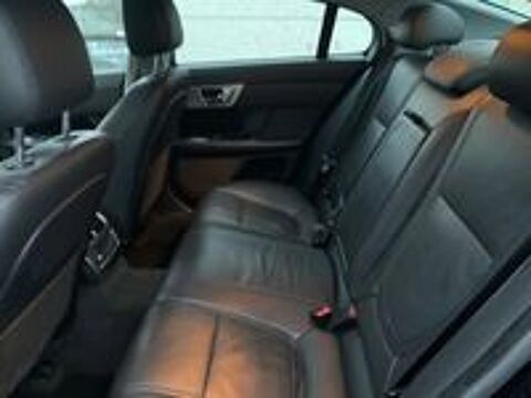 XF V6 3.0 D S - 275 FAP Luxe Premium A 2015 occasion 59310 Auchy-lez-Orchies