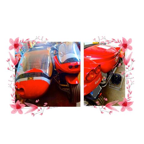 SIDE-BIKE Side-car 2008 occasion Carcassonne 11000