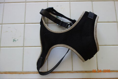 Harnais pour chien 10 78130 Les mureaux