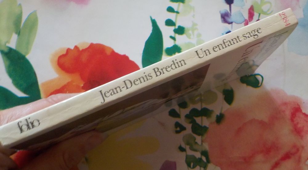 UN ENFANT SAGE de Jean-Denis BREDIN Ed. Folio n&deg;2384 Livres et BD
