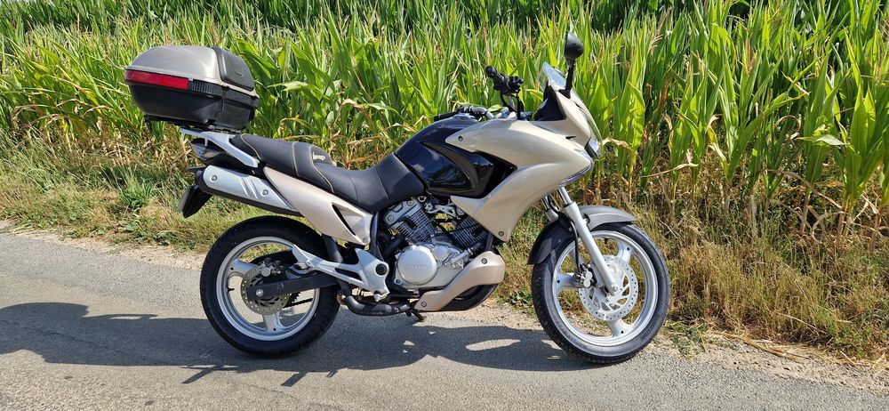 HONDA 2007 occasion 76480 &Eacute;pinay-sur-Duclair