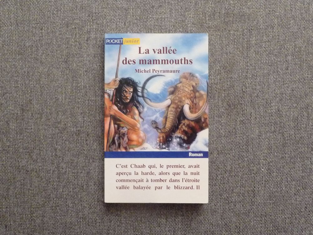 La Vall&eacute;e des Mammouths- Michel Peyramaure- Pocket Junior Livres et BD