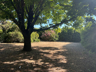  Terrain � vendre 993 m�