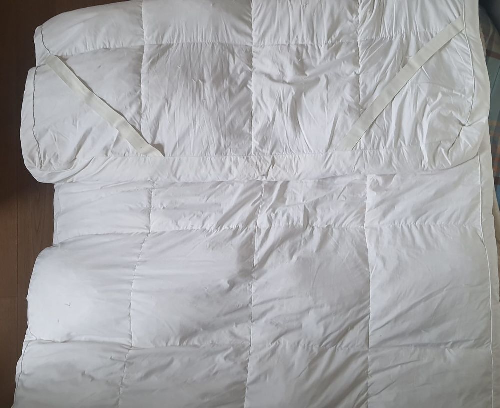 SURMATELAS PLUMES ET DUVETS D'OIE : 120X190 cm avec Sangles Meubles