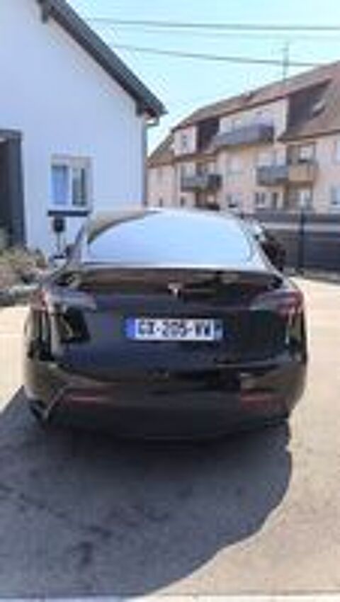 Model Y MODEL Y Standard RWD 2024 occasion 68270 Wittenheim