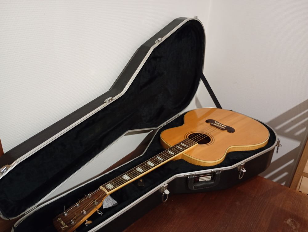 Guitare J 200 Tennessee (Jumbo) 
+ 
Etui moul&eacute; Deluxe Gator Instruments de musique