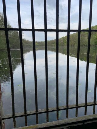  Autres � vendre 80000 m�