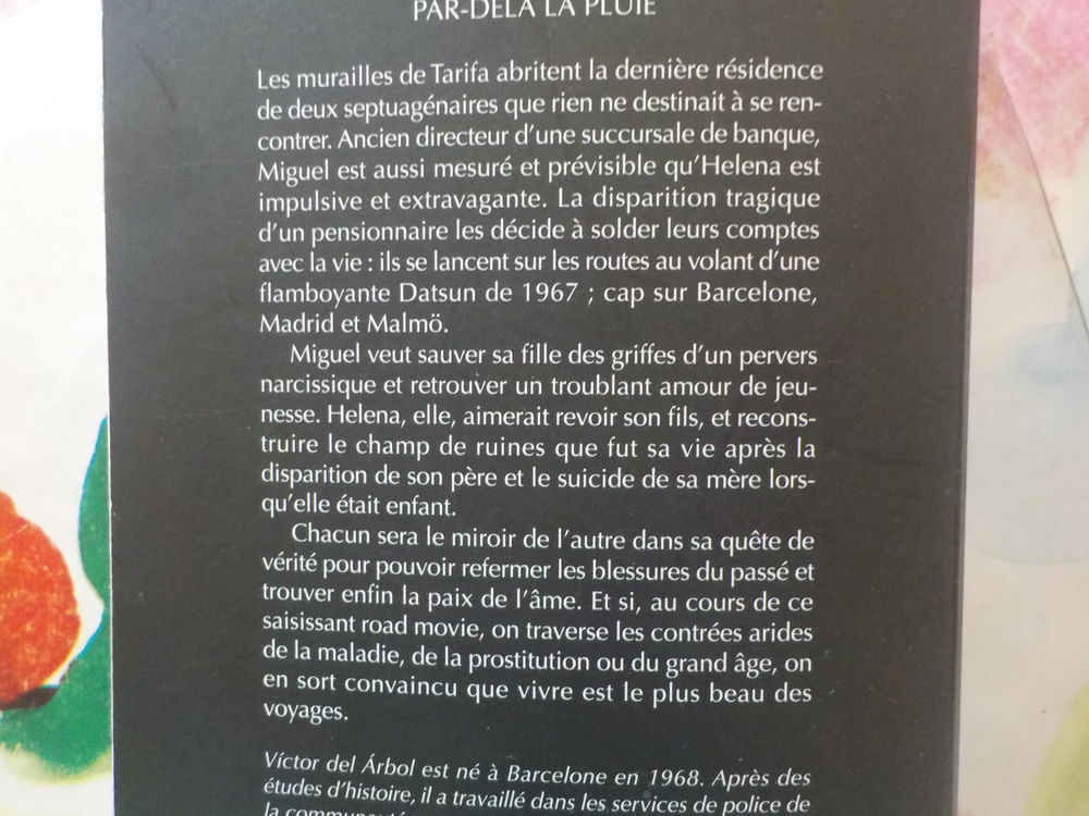 PAR-DELA LA PLUIE de Victor DEL ARBOL Ed. Babel Noir Livres et BD