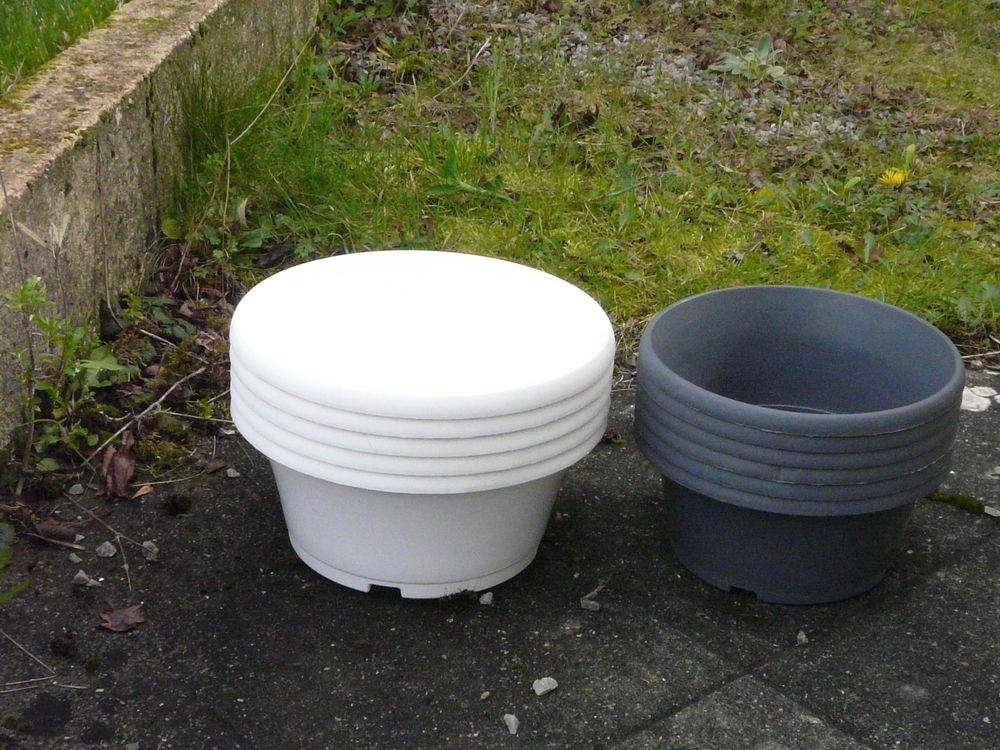 11 coupes rondes : blanche ou grise Jardin