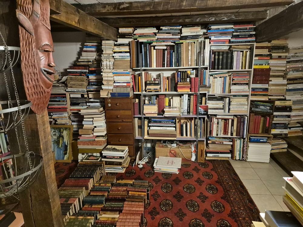 BROCANTE , livres anciens et modernes Livres et BD