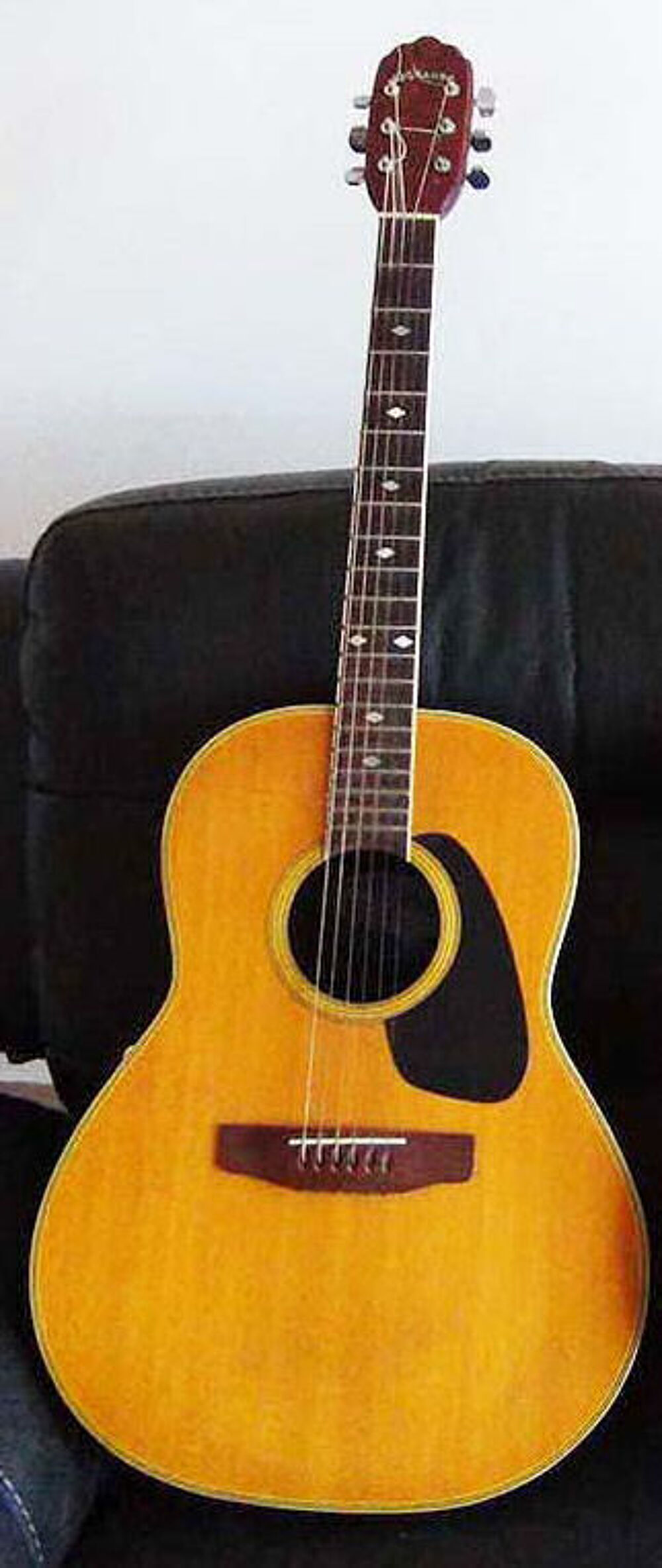 Guitare Applause Instruments de musique