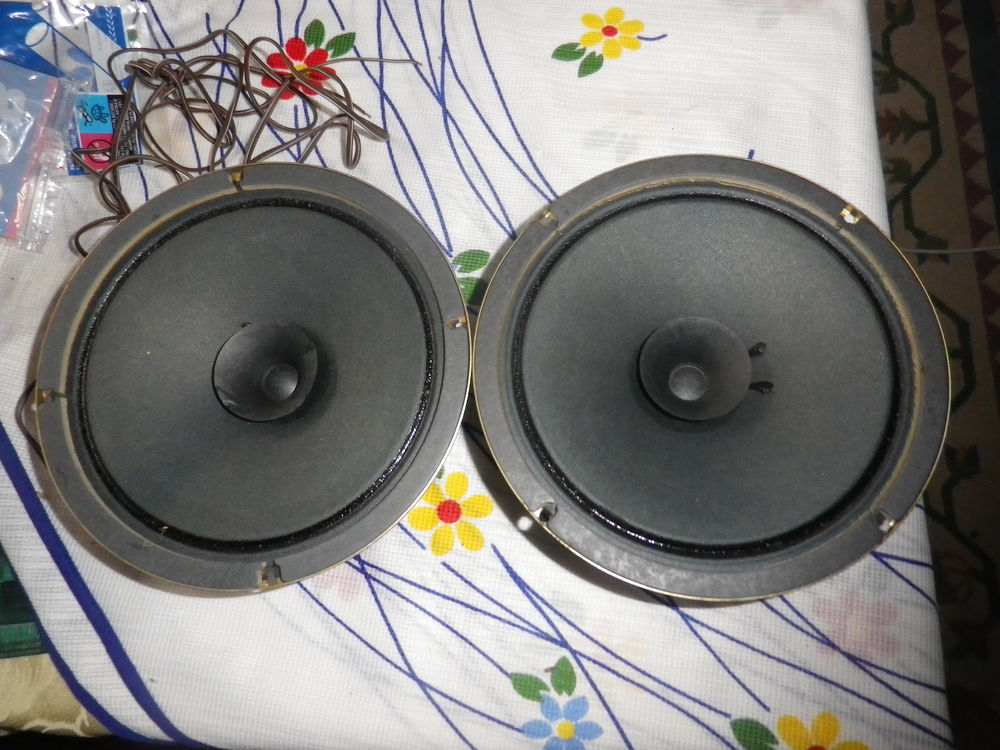 PAIRE DE H P BOUMER EN BICONE Audio et hifi