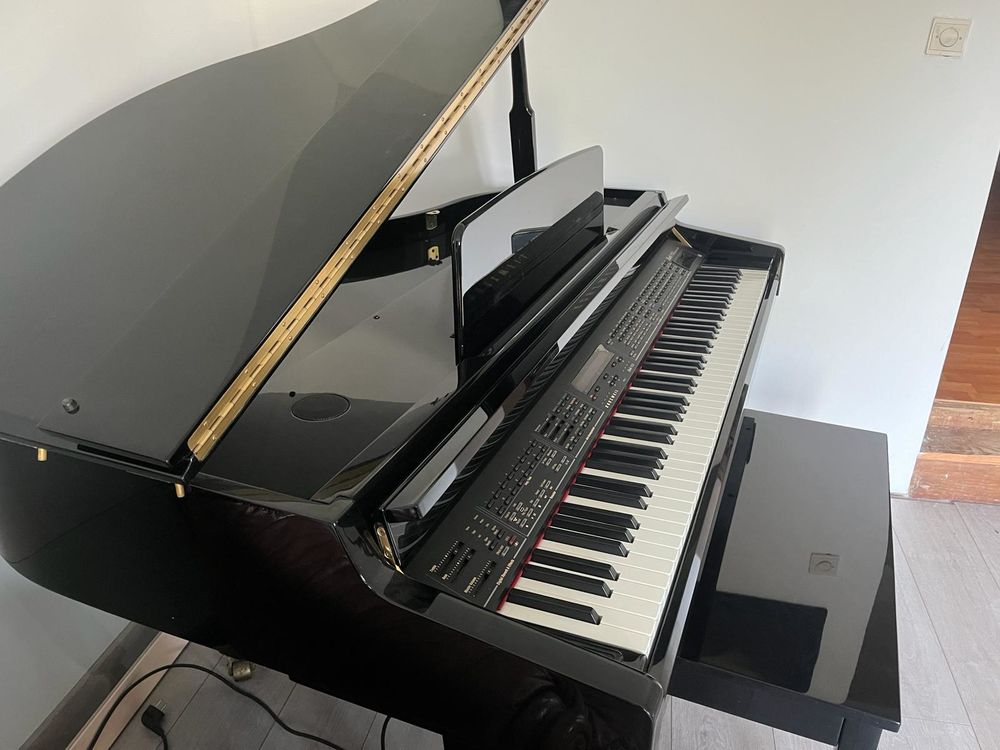 Piano quart de queu Instruments de musique