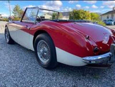 Autres Healey 100/6 BN 4 1958 occasion Brussel, Belgique