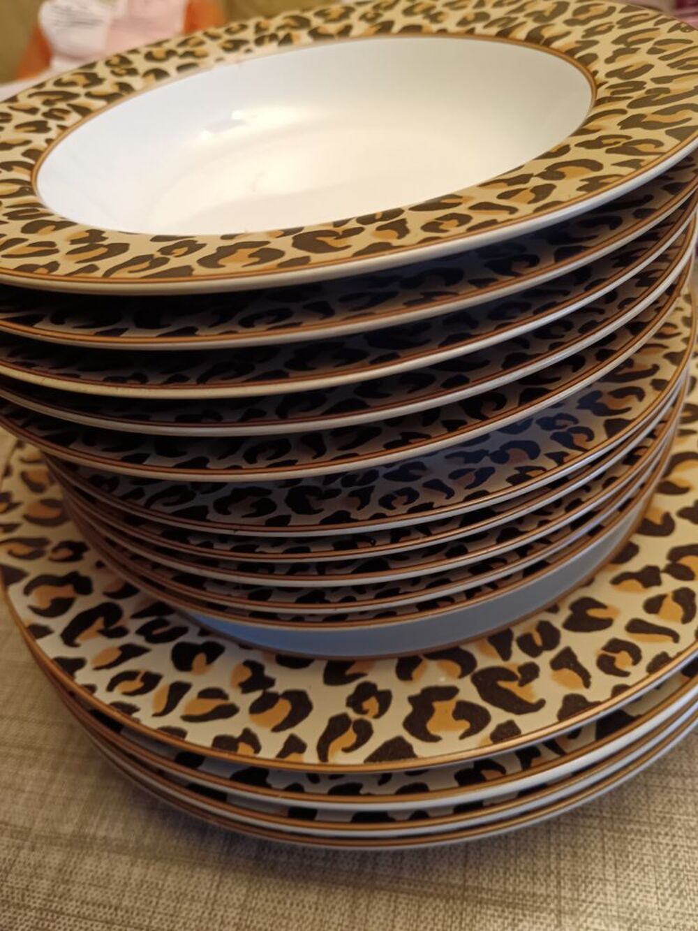 14 assiettes porcelaine bordure L&eacute;opard Cuisine