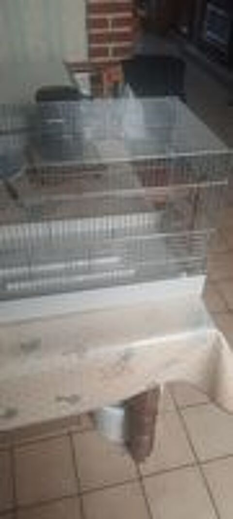   Cage de.elevage 