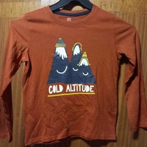 Tee shirt avec montagne 8 ans 1 La Fert-sous-Jouarre (77)