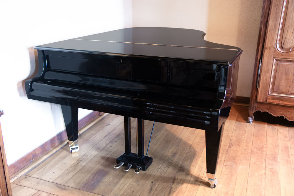 B&ouml;sendorfer Instruments de musique