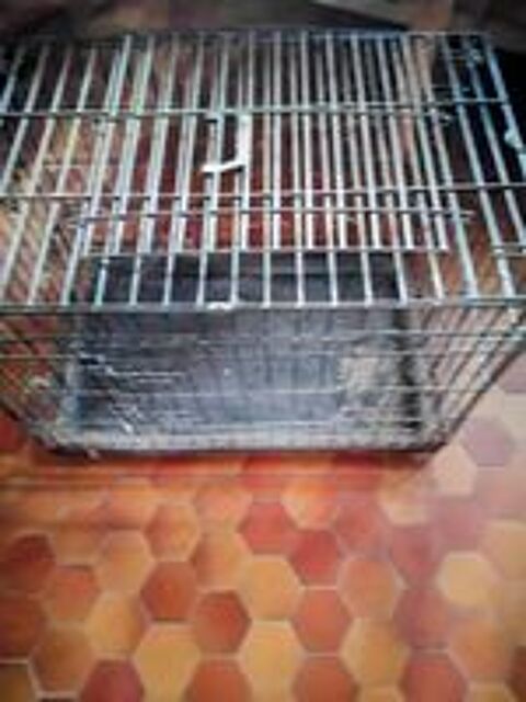   Vds 2 cages de transport  chiens  